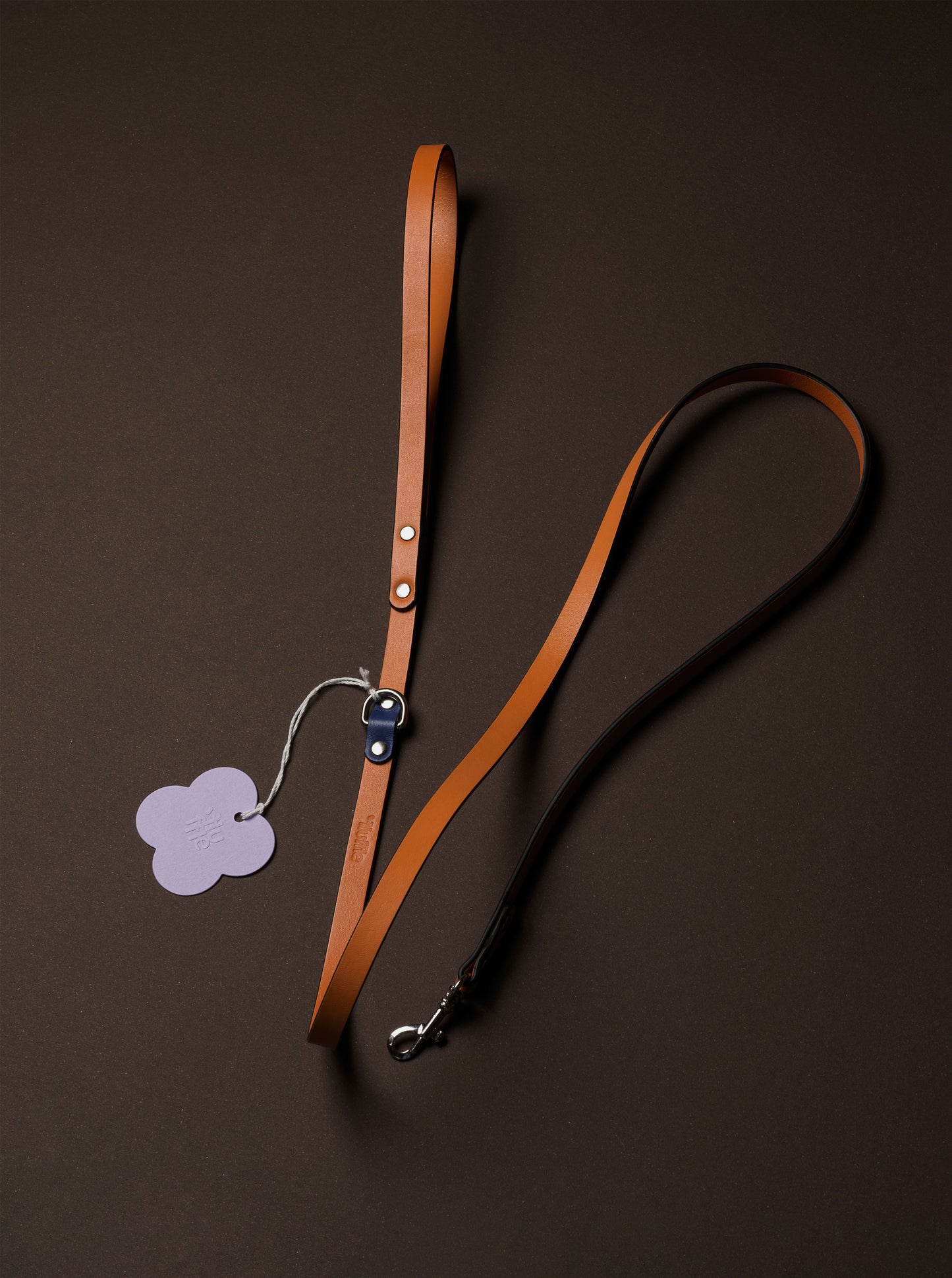 Galicia Dog Leash