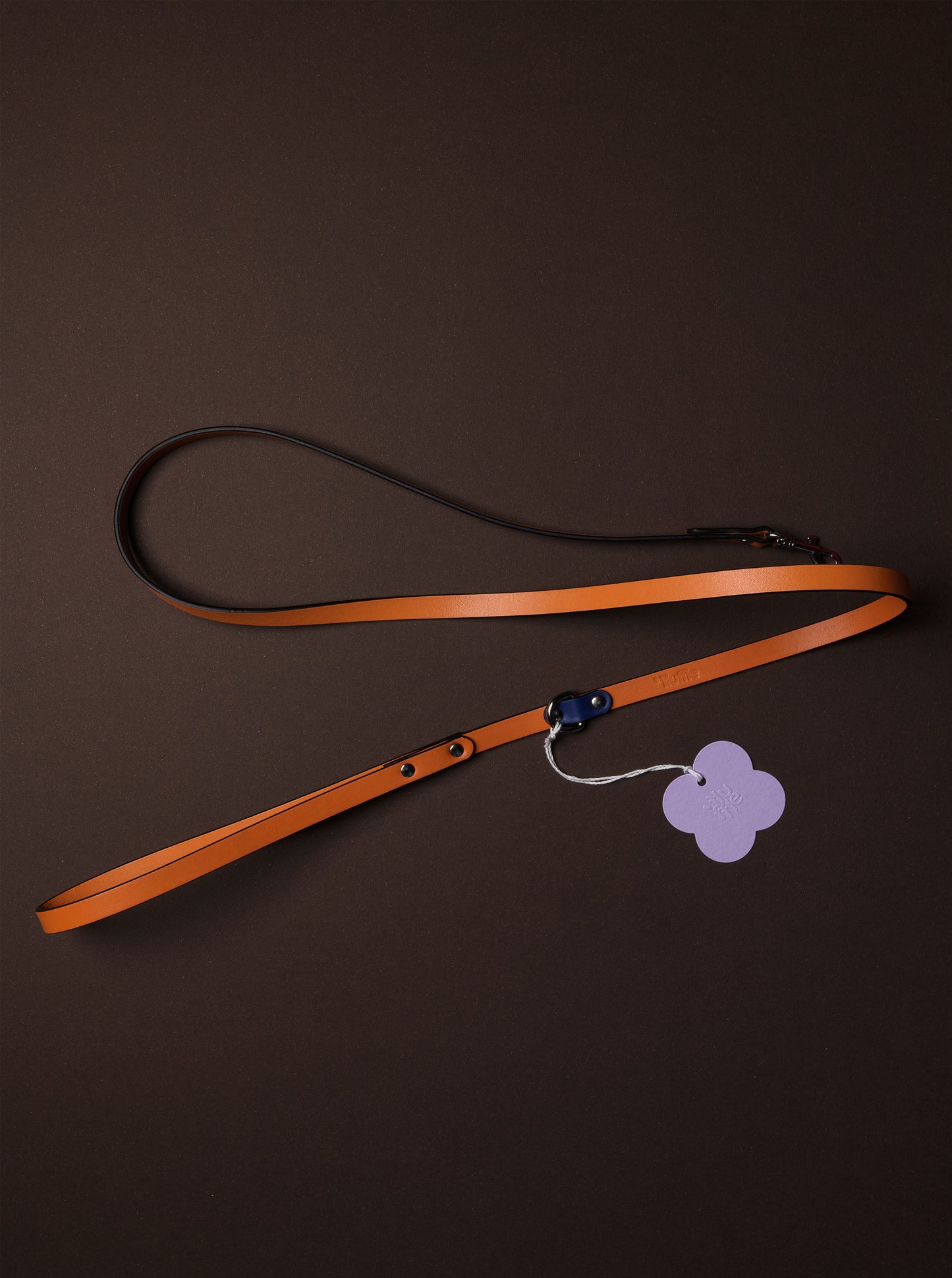 Galicia Dog Leash
