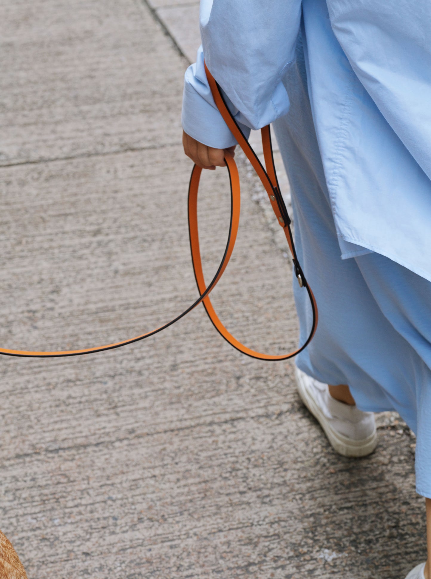 Galicia Dog Leash